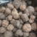 黑松露