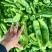 夏邑301辣椒️线椒️螺丝椒️苏椒️湘辛规格齐全发货快