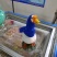 铁锅炖大鹅
