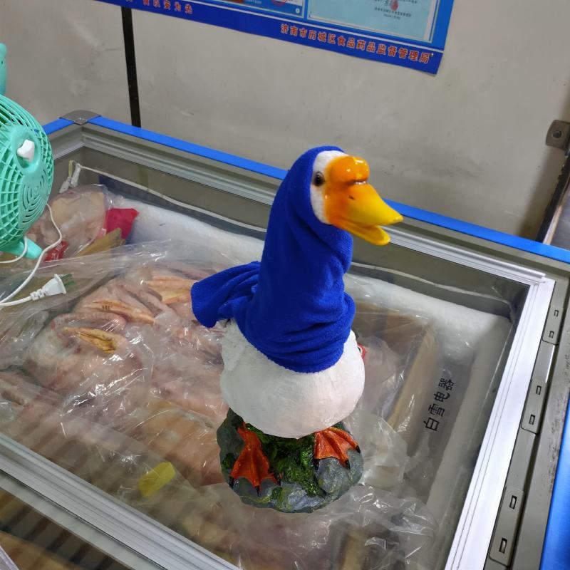 铁锅炖大鹅