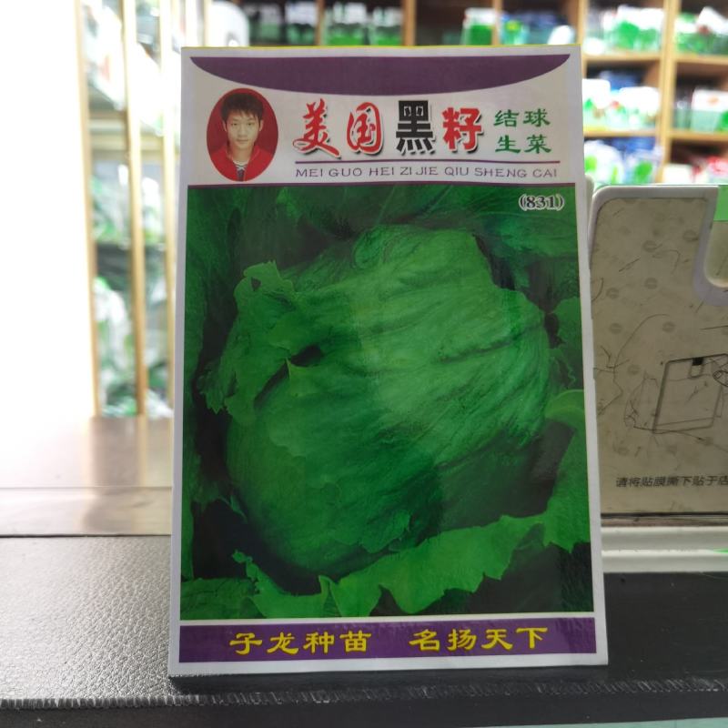 包心生菜种子子龙黑籽结球生菜籽圆生菜汉堡球耐抽苔蔬菜种子