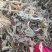 2024年花生秧草料牛羊马饲料，无土无膜无霉变