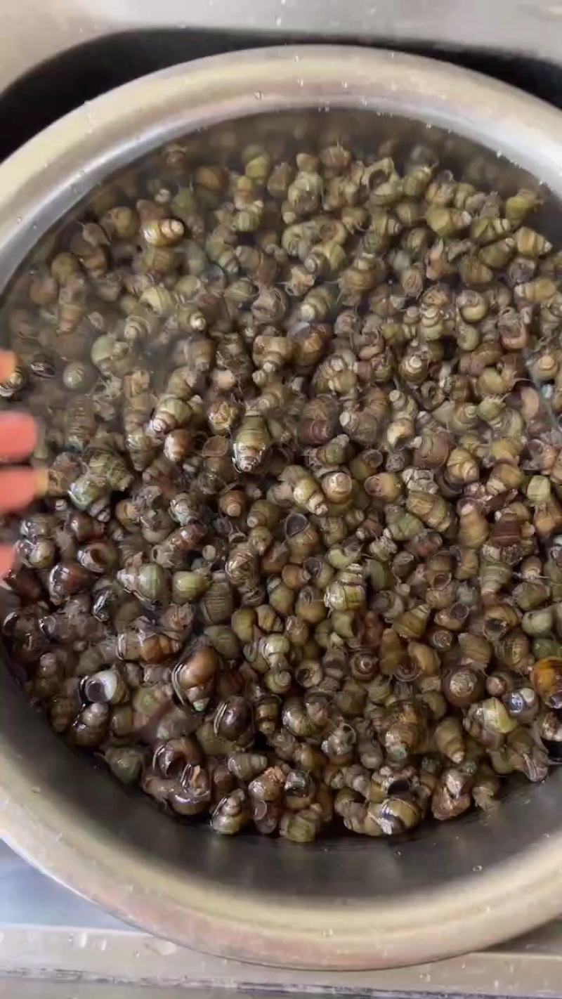 螺蛳现捞现卖，保证新鲜。