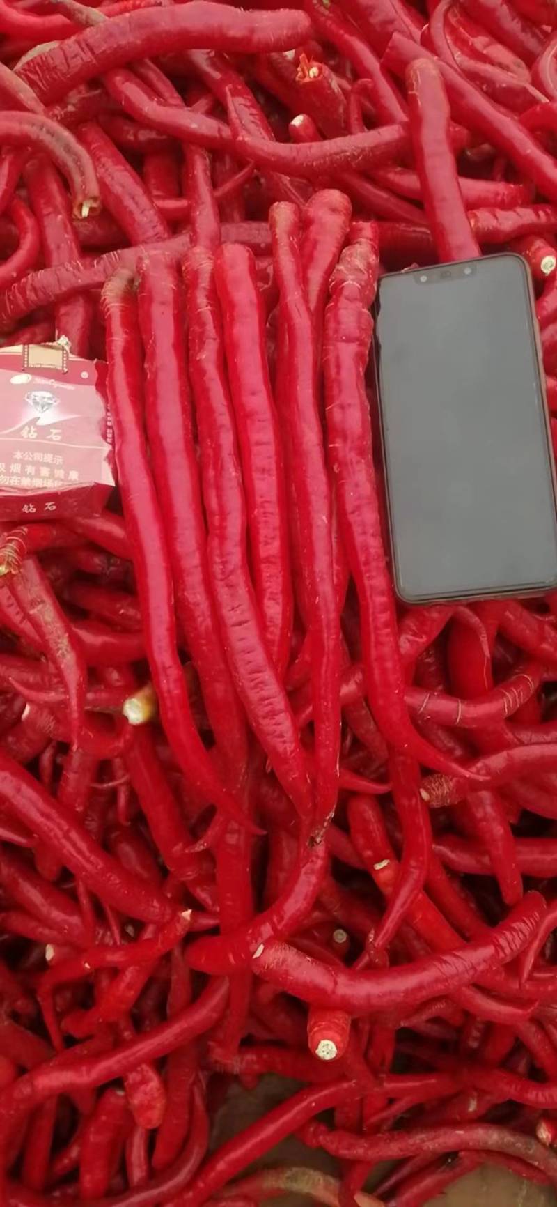 线椒