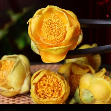 冻干野生金花茶