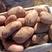 精品红皮土豆:合作88、雪川红、青薯九号，质优价廉