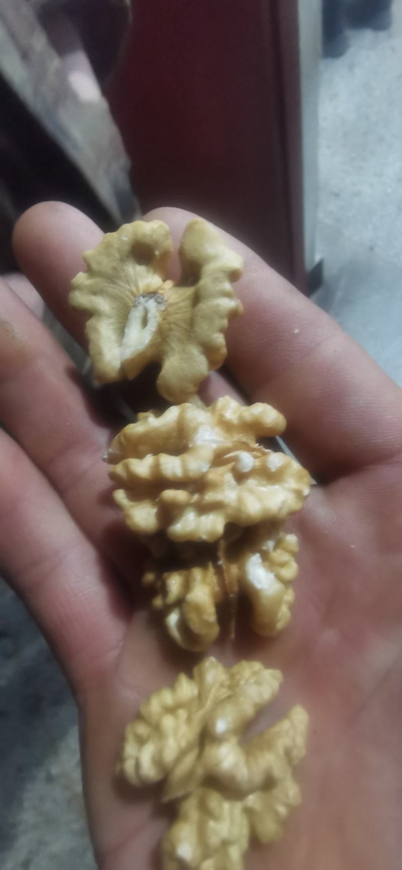 万亩优质核桃基地直供，皮薄个大仁白，口感十足，保证质量。