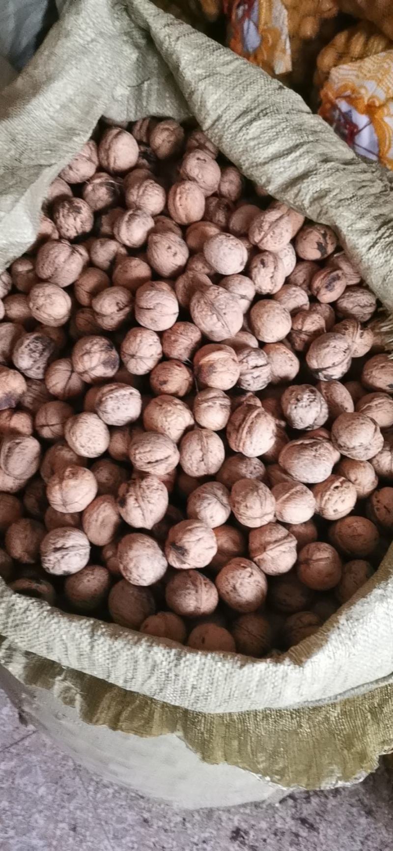 万亩优质核桃基地直供，皮薄个大仁白，口感十足，保证质量。