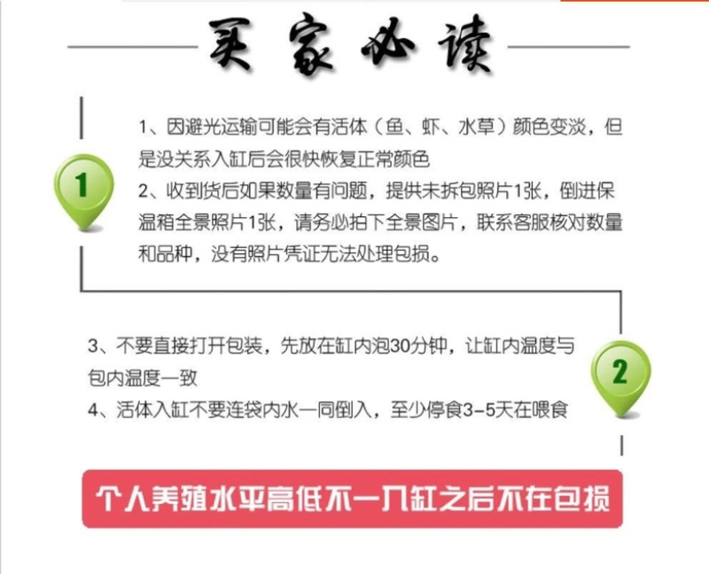 笋壳鱼苗泰国笋壳鱼苗沙塘鳢鱼苗云斑尖塘鳢鱼苗