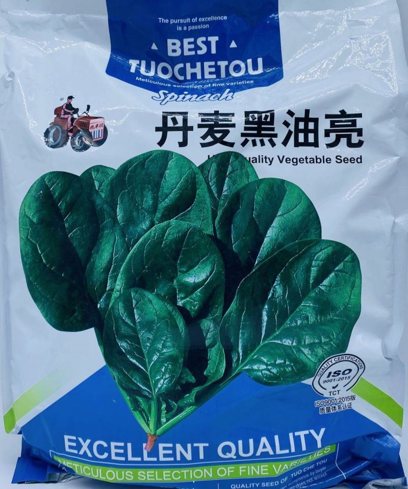 丹麦黑油亮菠菜种子，5斤