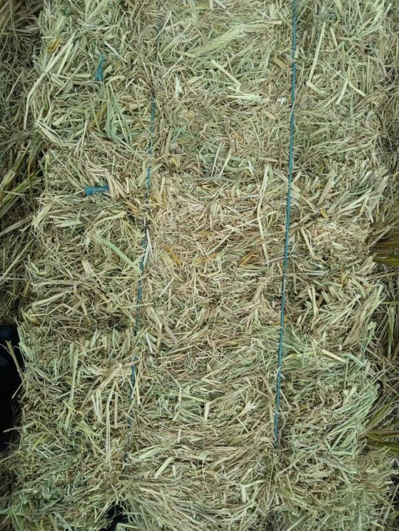 2022新稻草牛草小方包，新草幽香，牛羊爱尝