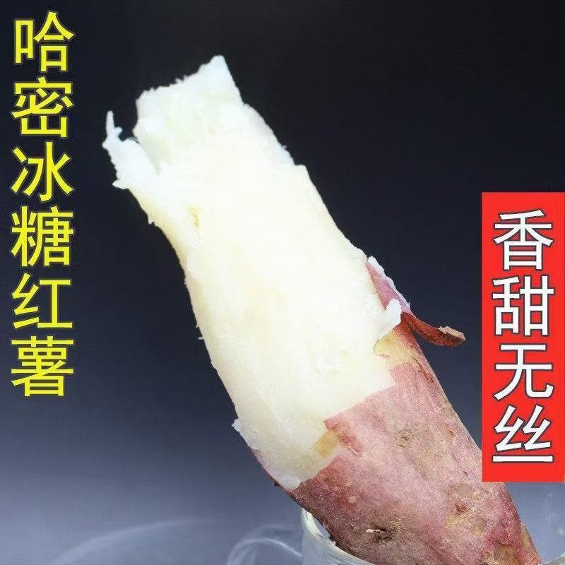 精品哈密、冰糖心红薯千亩种植基地，产地直发品质保证！