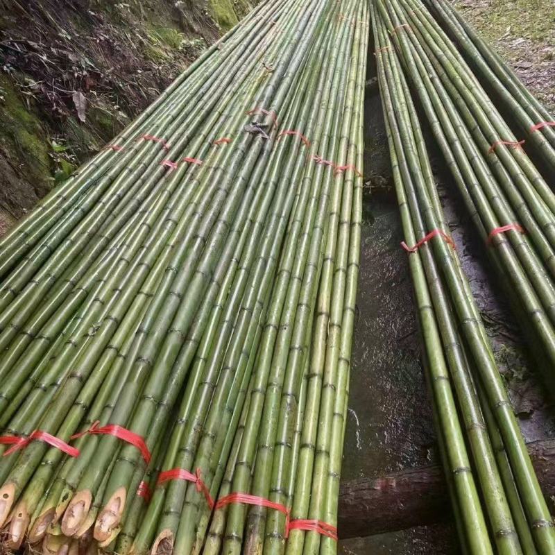 金竹各类菜架竹，全国发货，产地一手货源，诚信经营。量大