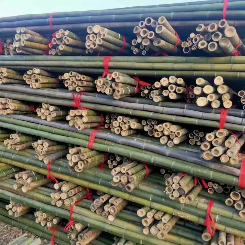 金竹各类菜架竹，全国发货，产地一手货源，诚信经营。量大
