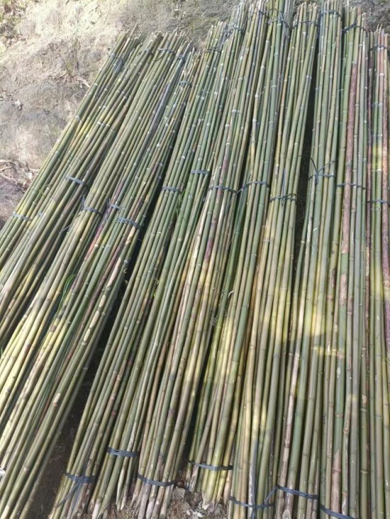 金竹各类菜架竹，全国发货，产地一手货源，诚信经营。量大