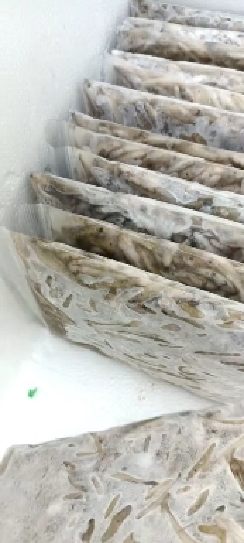 单冻小黄鱼