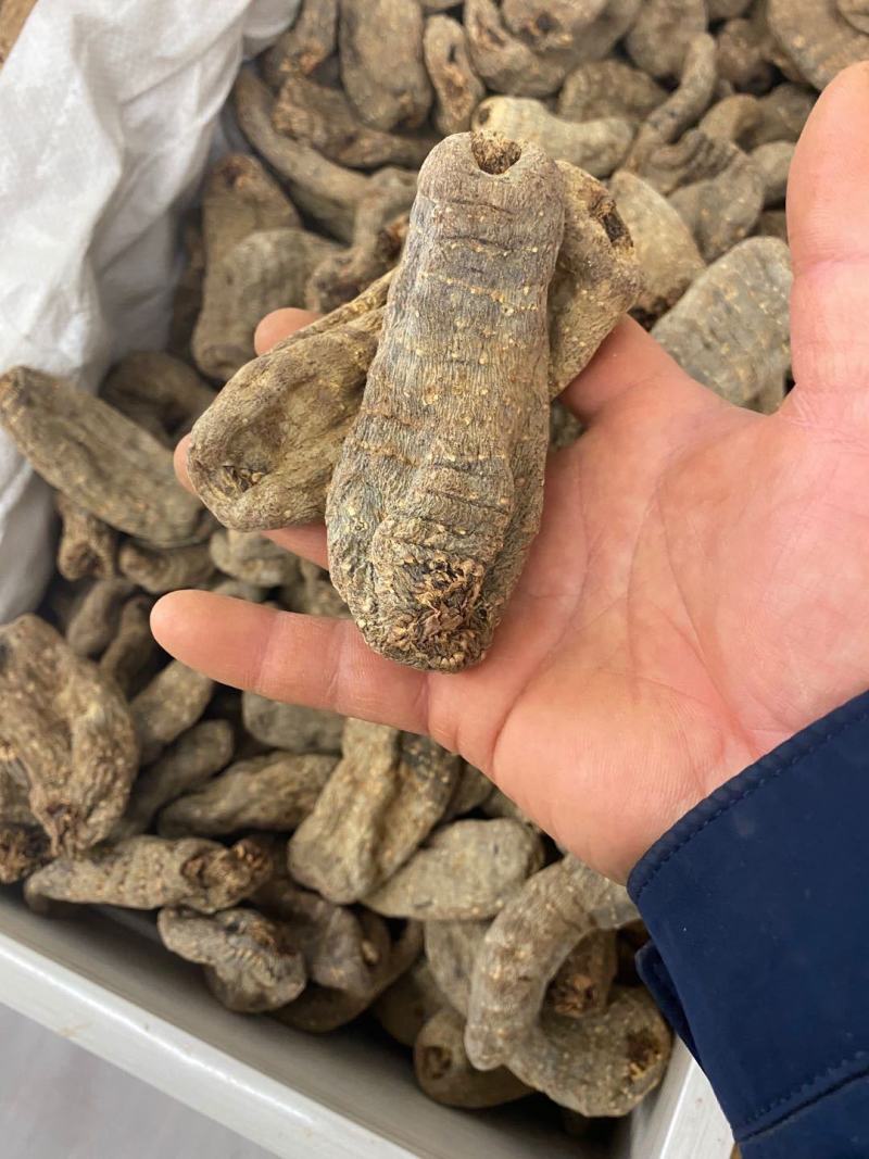 【乌天麻】云南乌天麻5个一斤乌天麻多规格可选包邮