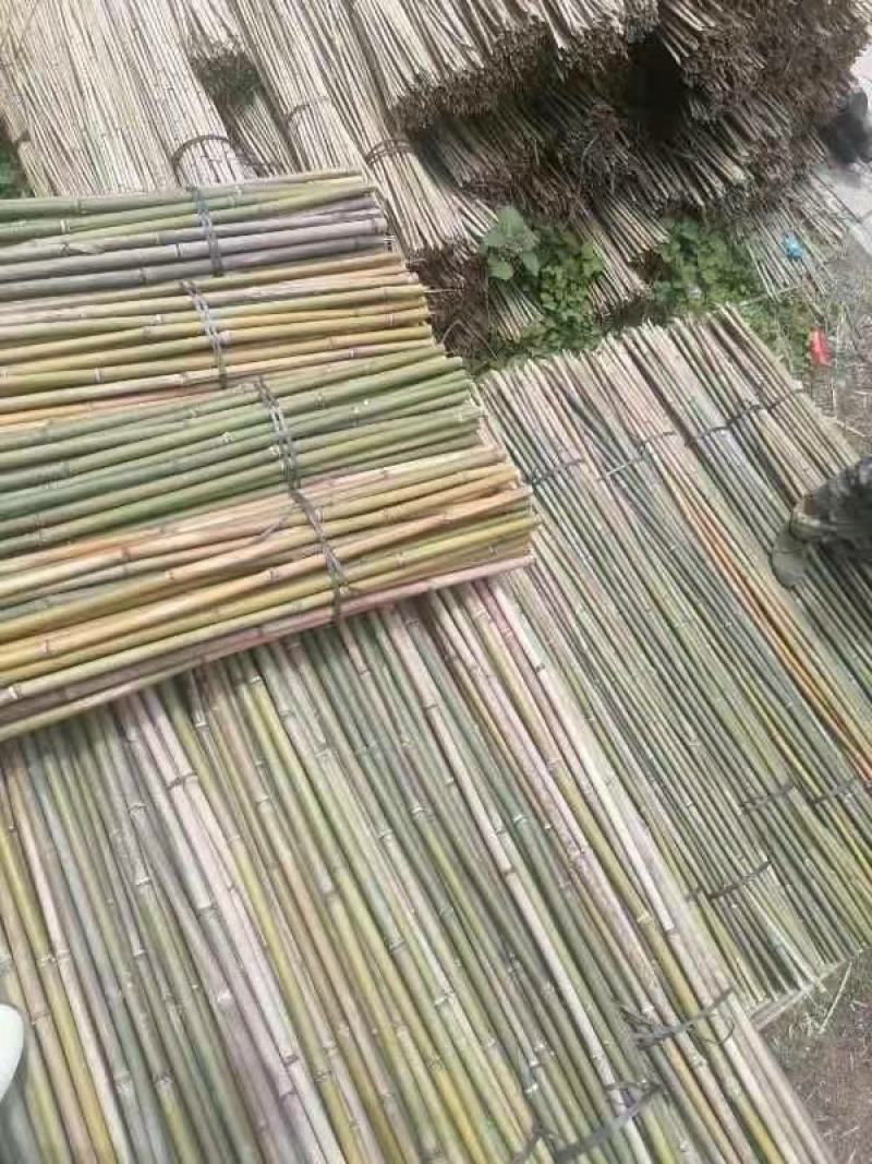 金竹，菜价竹产地一手货源，价格优惠，诚信经营