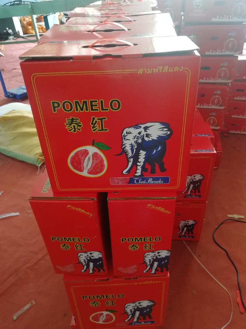 三红柚小小柚子，货源多多，价格便宜欢迎来电咨询