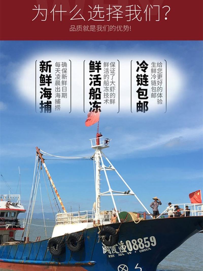 新鲜大黄花鱼海鲜鲜活大黄鱼东海大黄鱼冷冻海鱼海鲜