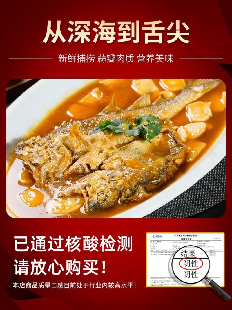 新鲜大黄花鱼海鲜鲜活大黄鱼东海大黄鱼冷冻海鱼海鲜