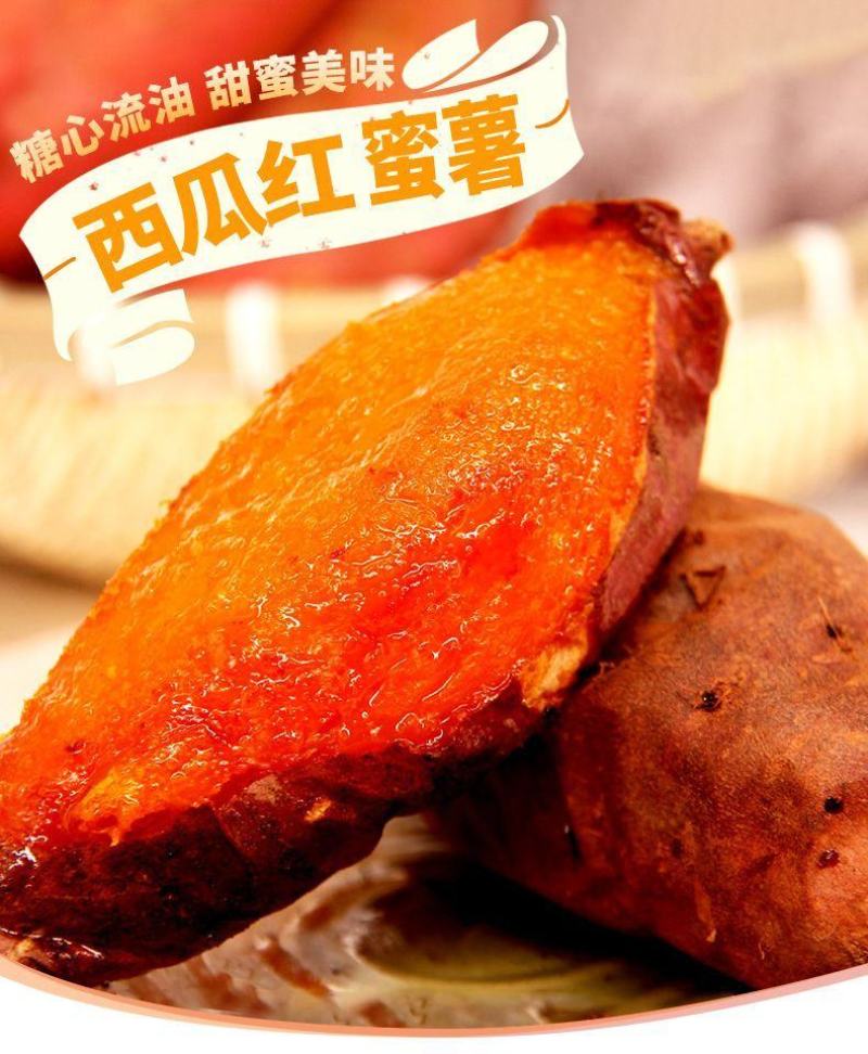 西瓜红大吨位供应，可走商超，烤薯大量有货！