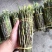 铁皮石斛新鲜条。基地大量供应。现剪现发，保证新鲜
