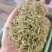 金银花头茬花二花颜色青量大从优手机实拍