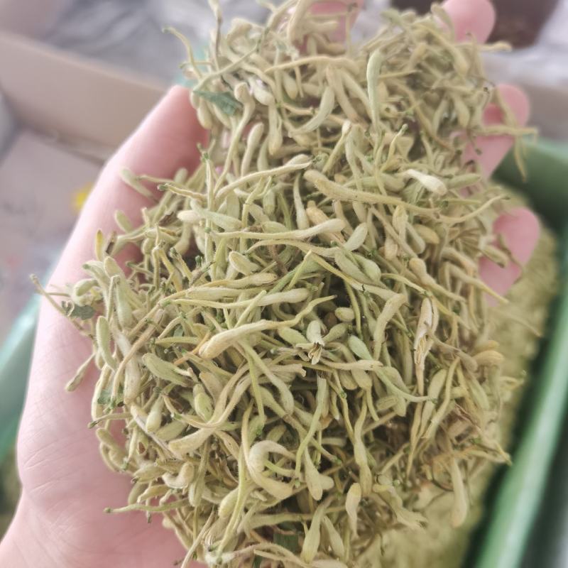 金银花头茬花二花颜色青量大从优手机实拍