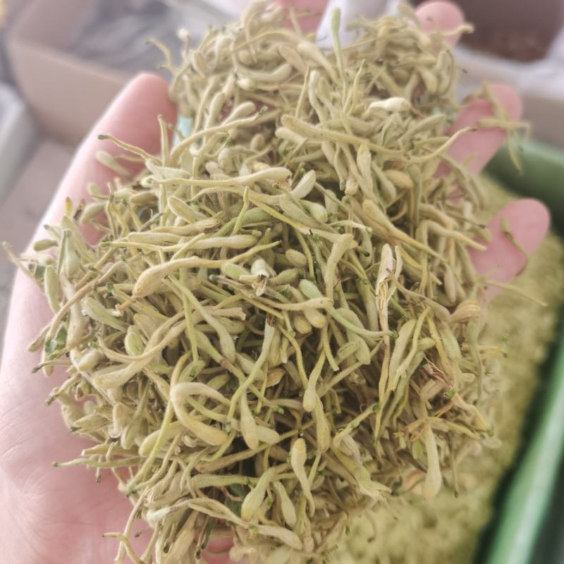 金银花头茬花二花颜色青量大从优手机实拍