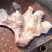 猪面具猪脸冷冻猪副产品山东品质保障