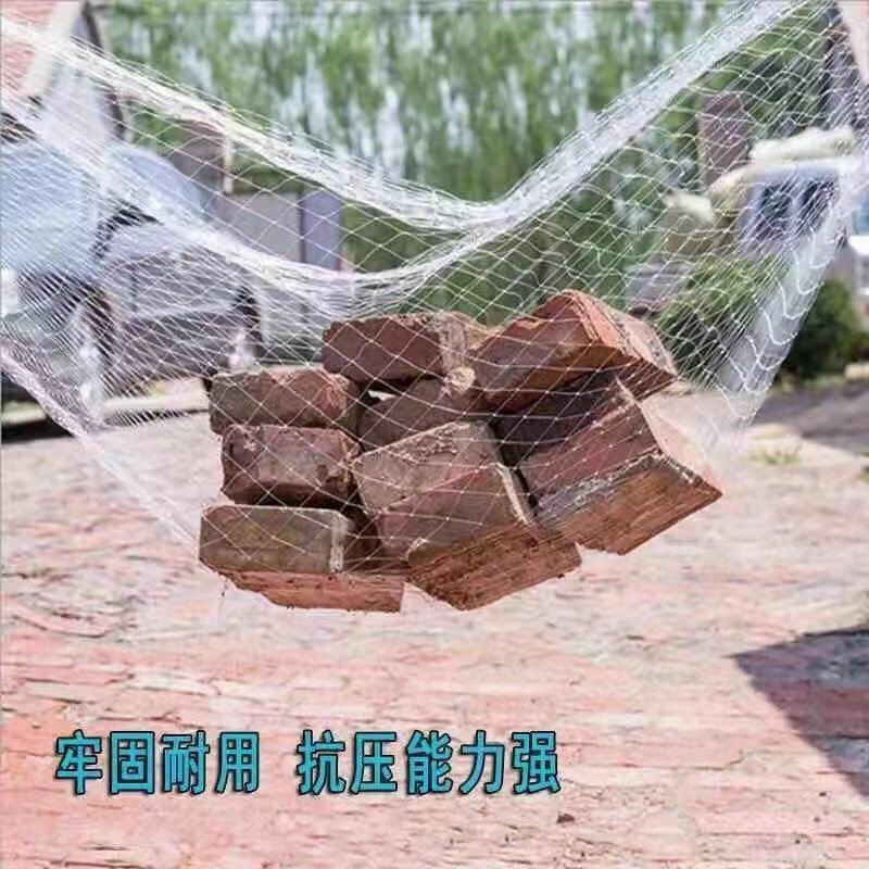果树尼龙防鸟网樱桃葡萄果园农田稻谷鱼塘防鸟天网户外大棚防