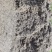 玉米秸秆