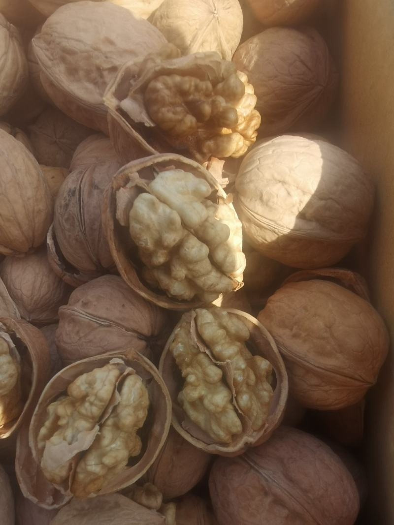 185纸皮核桃