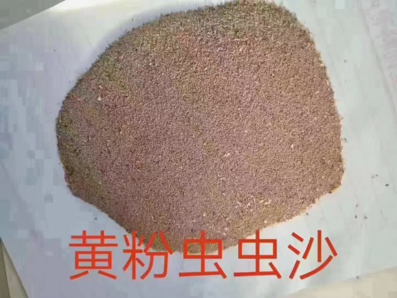 虫沙（黄粉虫粪便）蛋白15-18.吸收性好