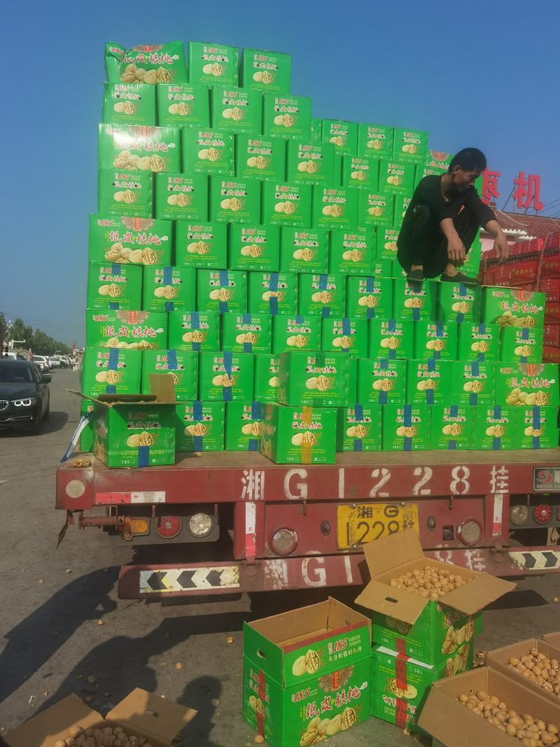 185纸皮核桃