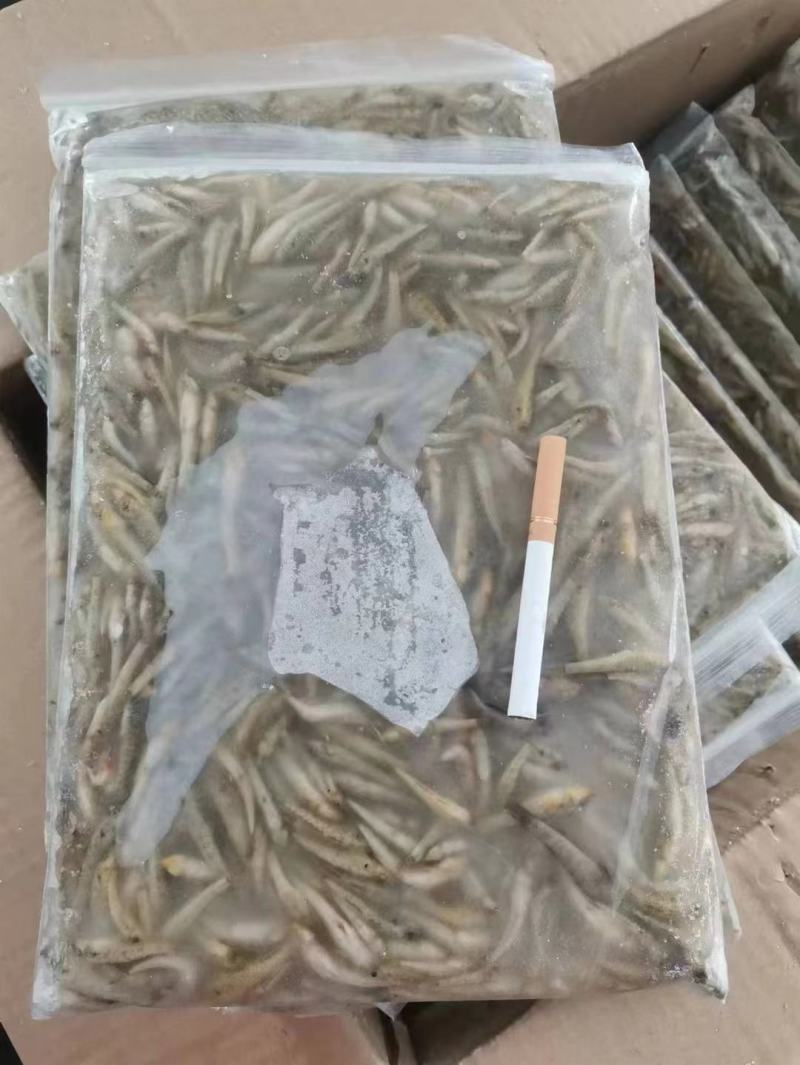小黄鱼，石头鱼，山根鱼，山坑鱼仔，2-4，3-5。公斤装