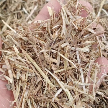 花生秧小麦秸秆小麦麸皮都有货宁夏地区疯狂抢货