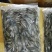 小黄鱼，石头鱼，山根鱼，山坑鱼仔，2-4，3-5。公斤装