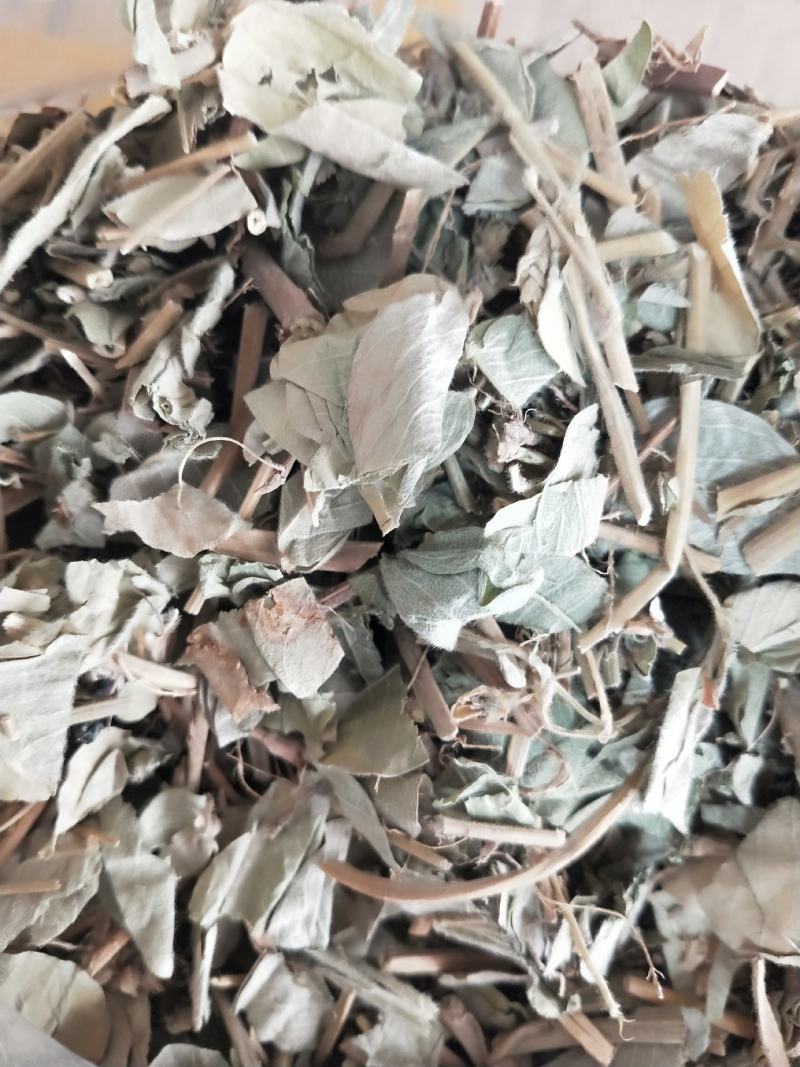 广西大瑶山金钱草