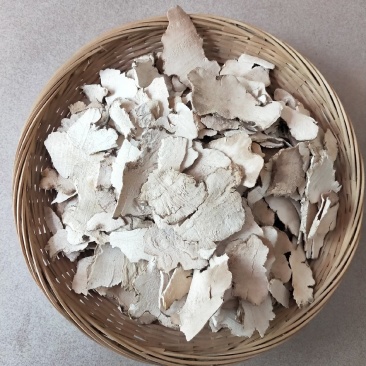 广西金秀大瑶山土茯苓