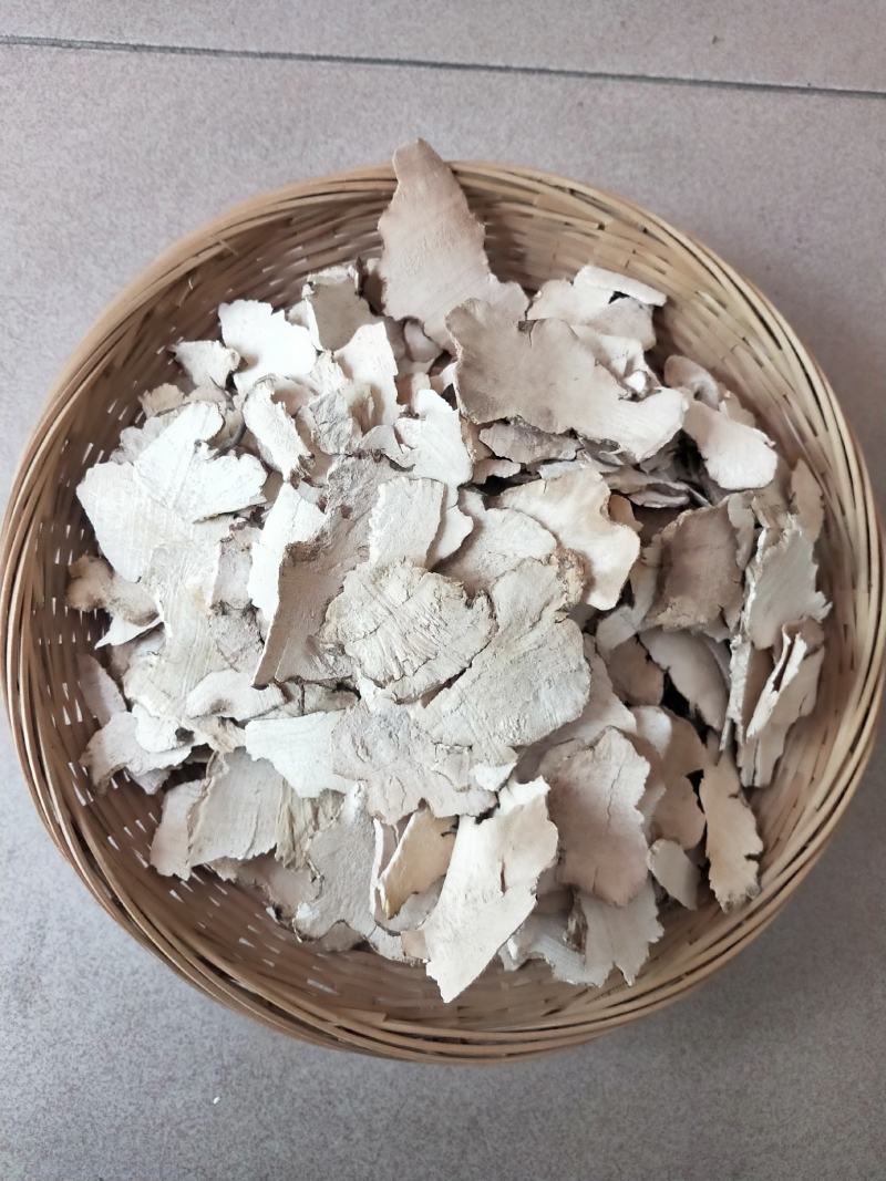 广西金秀大瑶山土茯苓