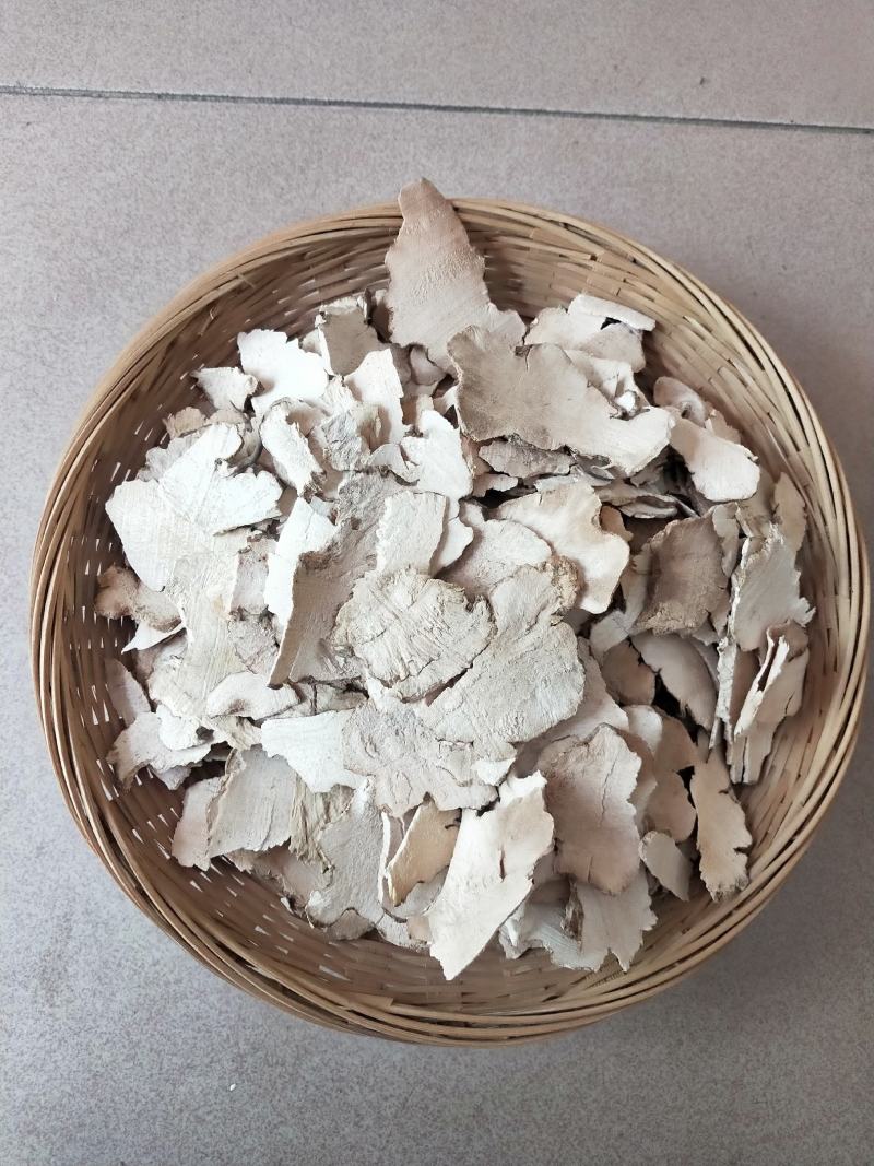 广西金秀大瑶山土茯苓