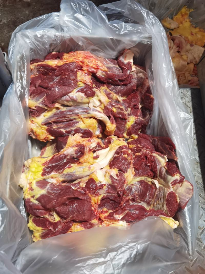 精品马腱子，活马鲜宰的，纯干货，精修去油