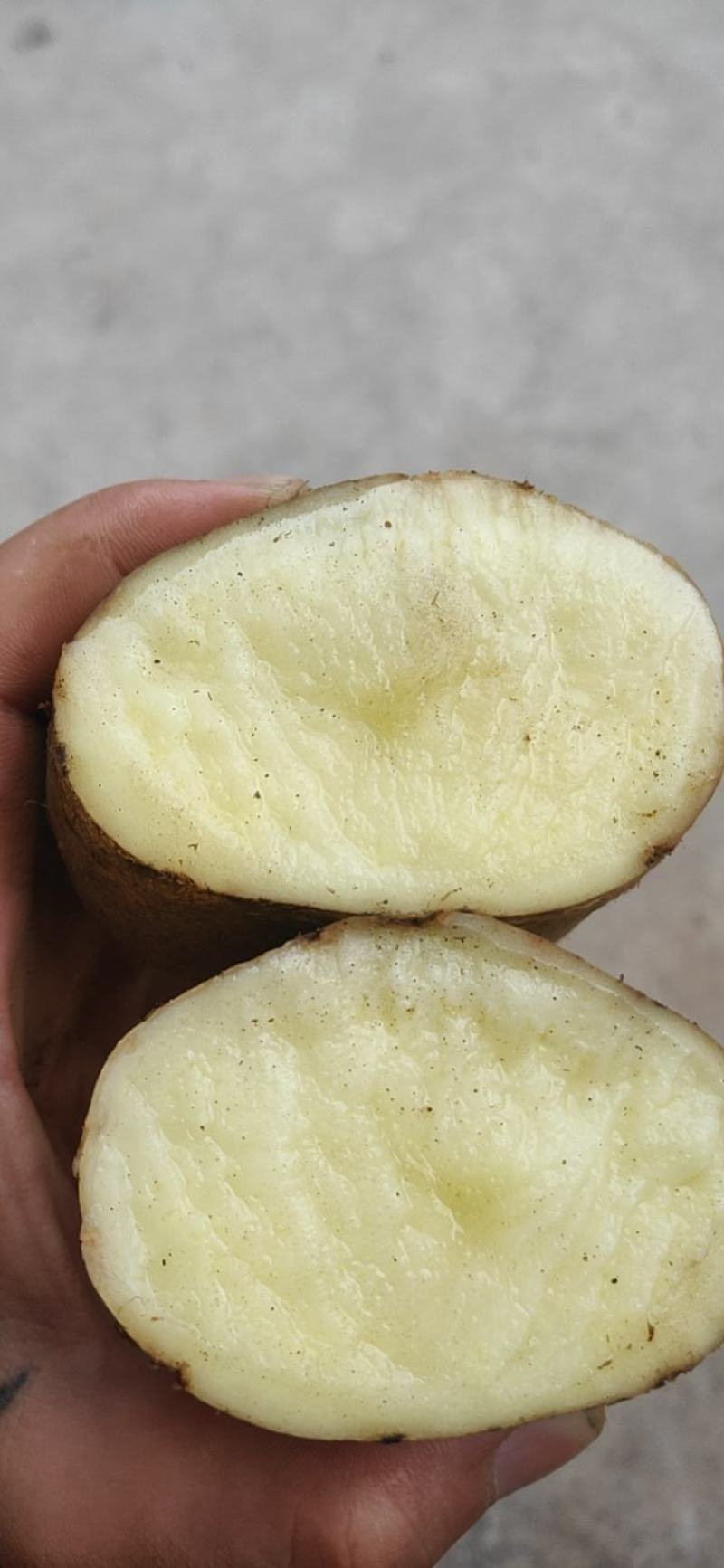 新鲜土豆
