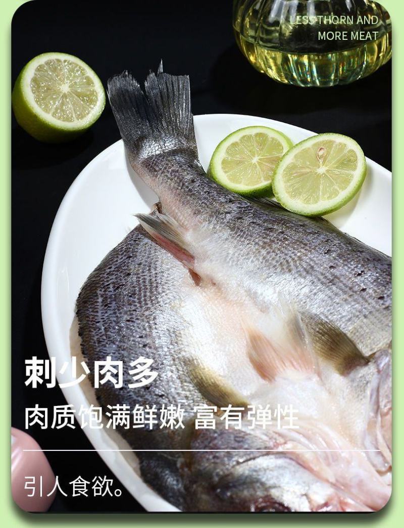 珠海白蕉海鲈鱼开背去鳞去肚去腮5条装99(单条350g）