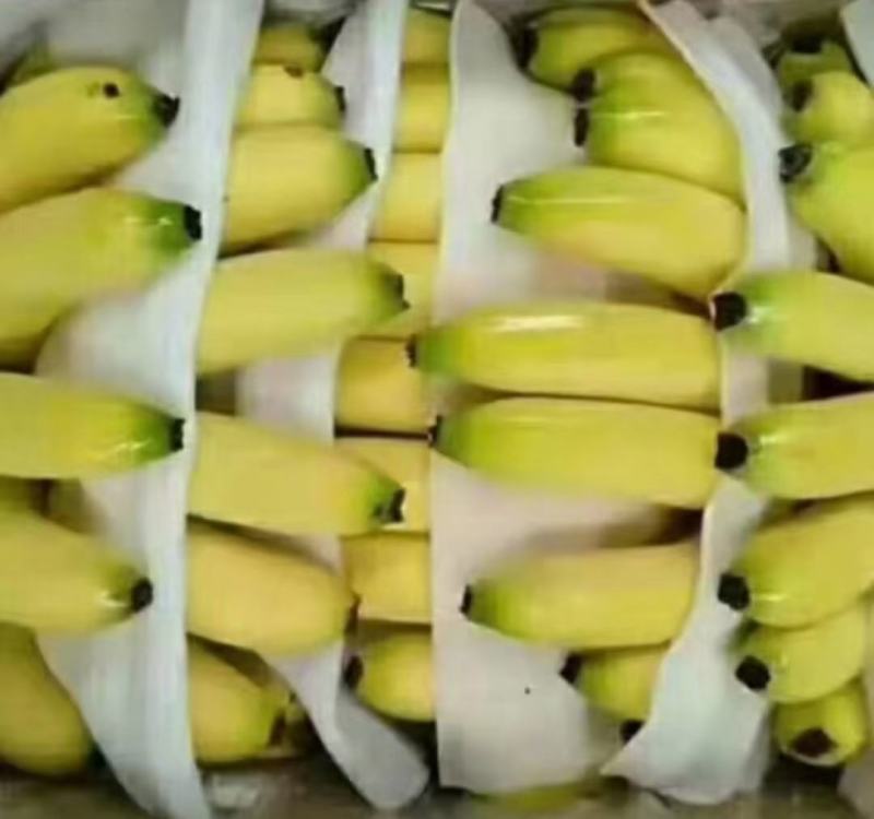 香蕉常年供应香蕉————————————