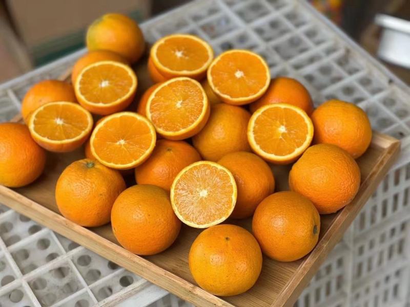 【实力商家】九月红果冻橙脐橙果园看货订货支持视频看货诚信代办