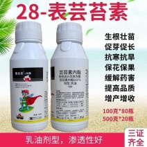 28表芸苔素内促进花芽分化促进生长增产提质100毫升
