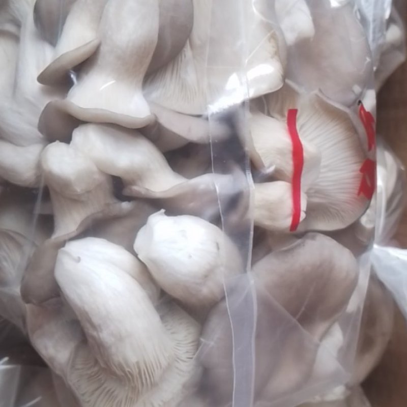 新鲜秀珍菇现采现发欢迎广大客商订购
